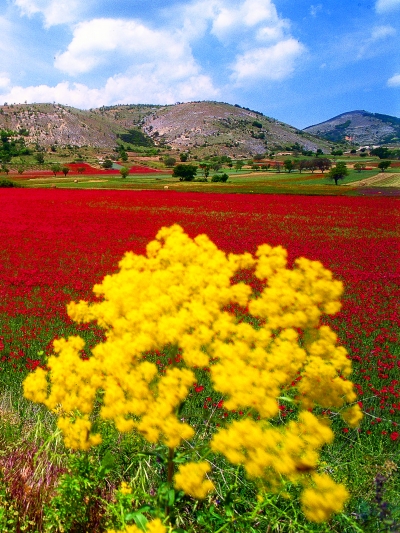 Montagne Abruzzo