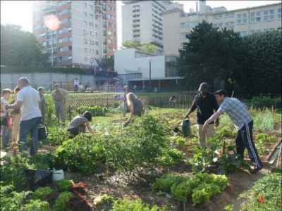 Un bando a Montesilvano per assegnare orti urbani